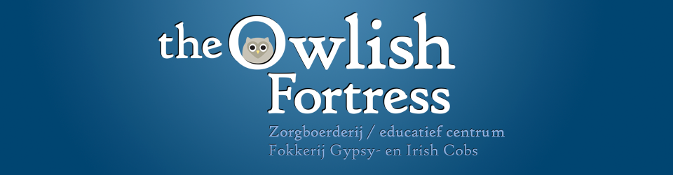 The Owlish Fortress
